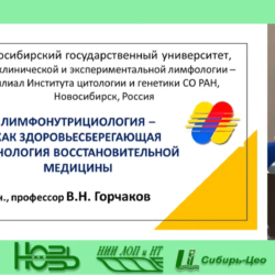 Научно-практическая конференция по восстановительной медицине в Новосибирске.